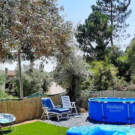 Adore Portugal Bungalow Natureza & Vista De Serra Lousã Eksteriør bilde