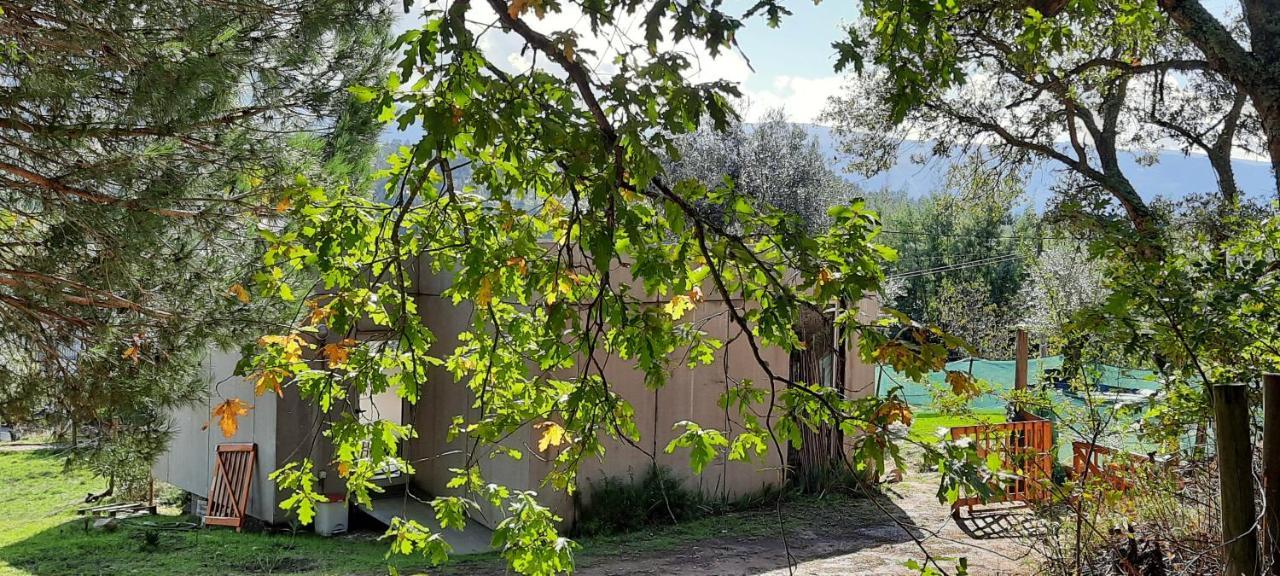 Adore Portugal Bungalow Natureza & Vista De Serra Lousã Eksteriør bilde