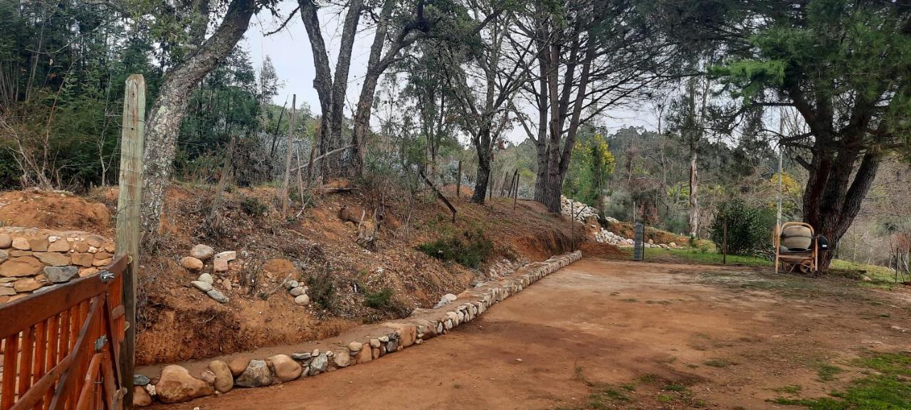 Adore Portugal Bungalow Natureza & Vista De Serra Lousã Eksteriør bilde